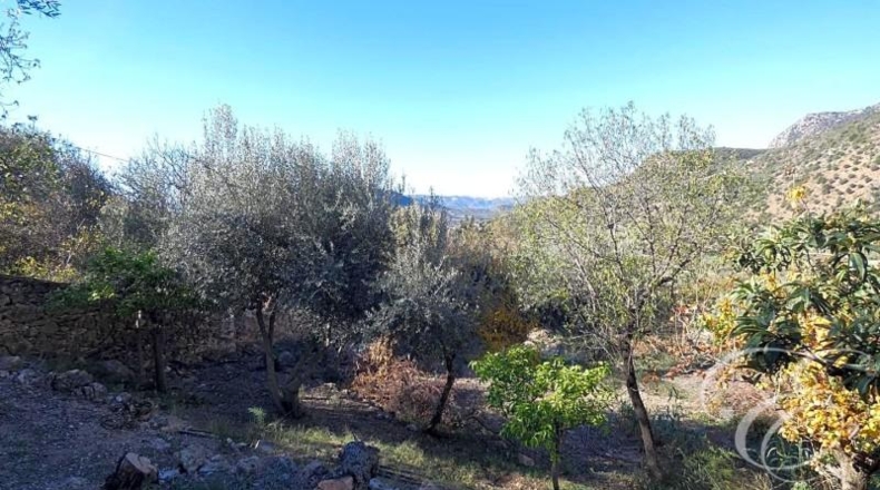 Málaga - Periana - 6000m2