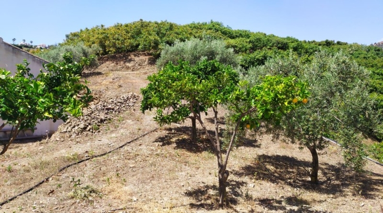 Málaga - Frigiliana - 3000m2