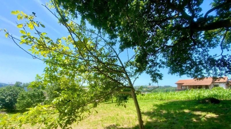 Cantabria - Reocín - 1683m2