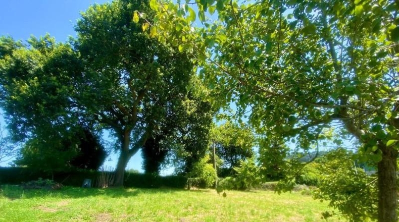 Cantabria - Reocín - 1683m2