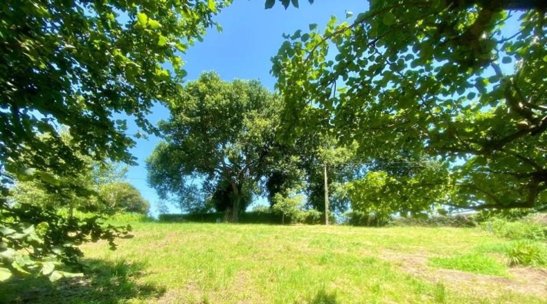 Cantabria - Reocín - 1683m2