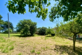 Foto 10