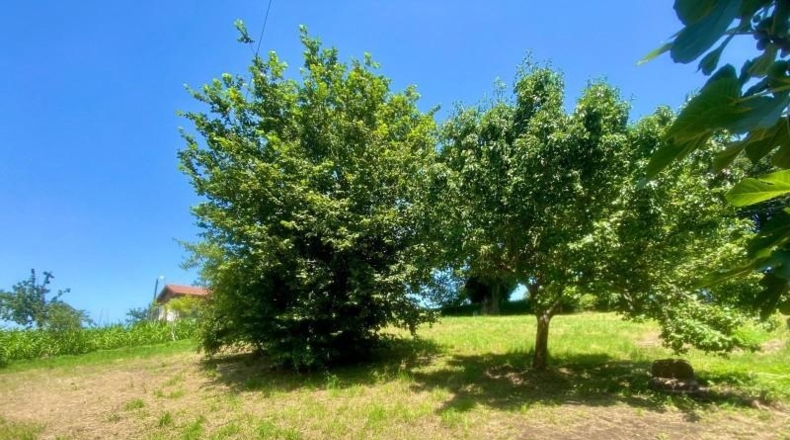 Cantabria - Reocín - 1683m2