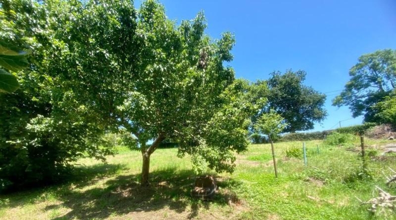 Cantabria - Reocín - 1683m2