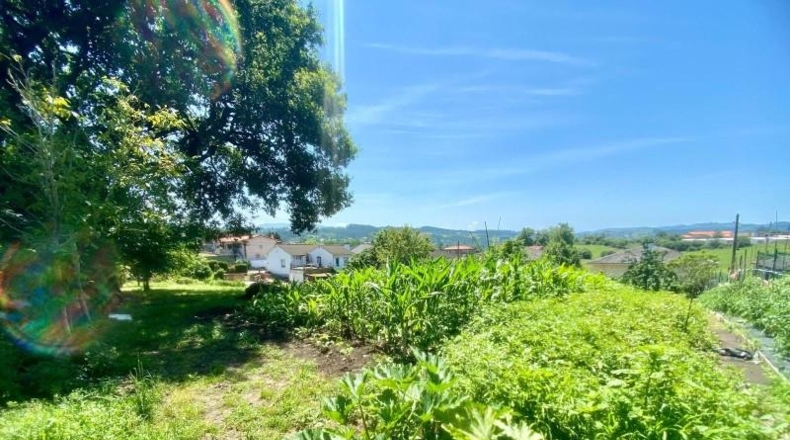 Cantabria - Reocín - 1683m2