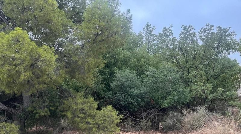 Murcia - Totana - 20796m2