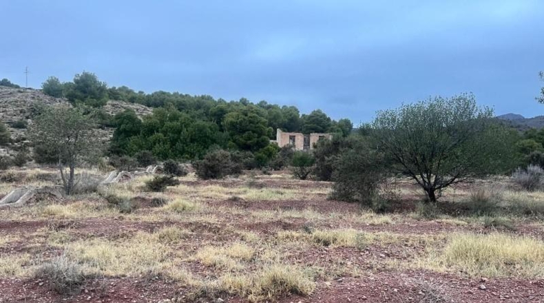 Murcia - Totana - 20796m2