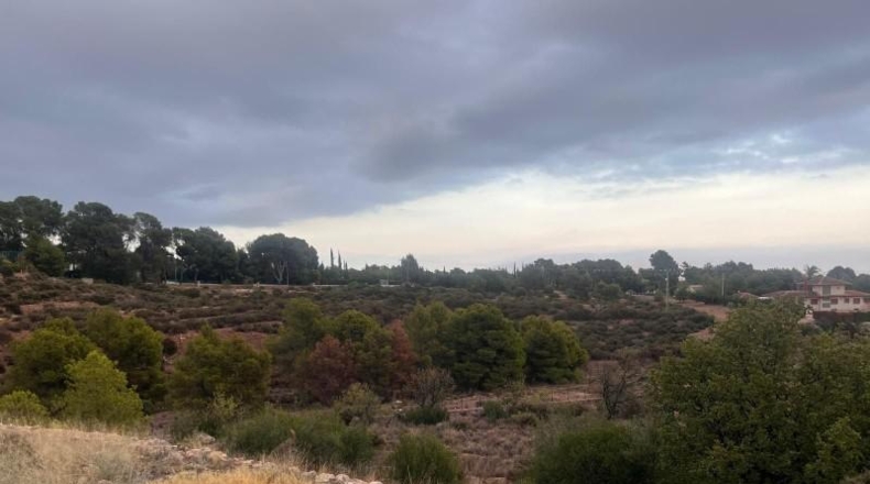 Murcia - Totana - 20796m2