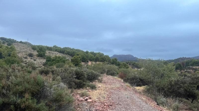 Murcia - Totana - 20796m2