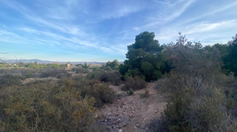 Murcia - Totana - 20796m2