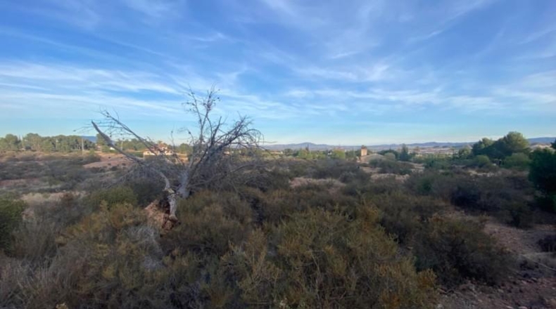 Murcia - Totana - 20796m2