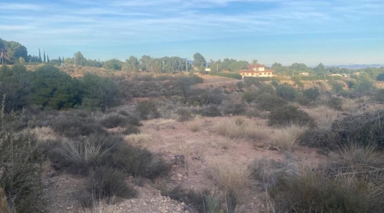Murcia - Totana - 20796m2