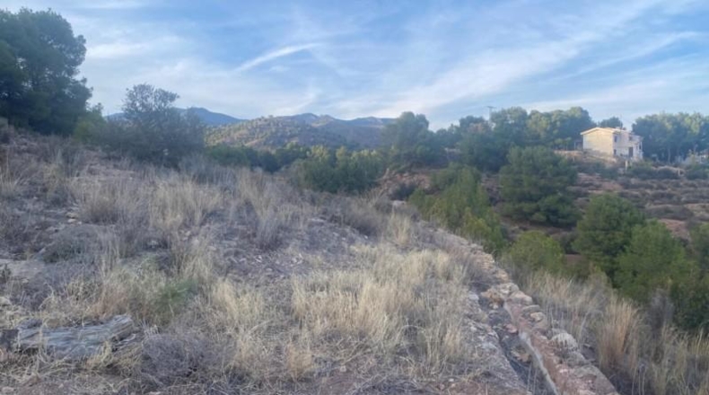 Murcia - Totana - 20796m2