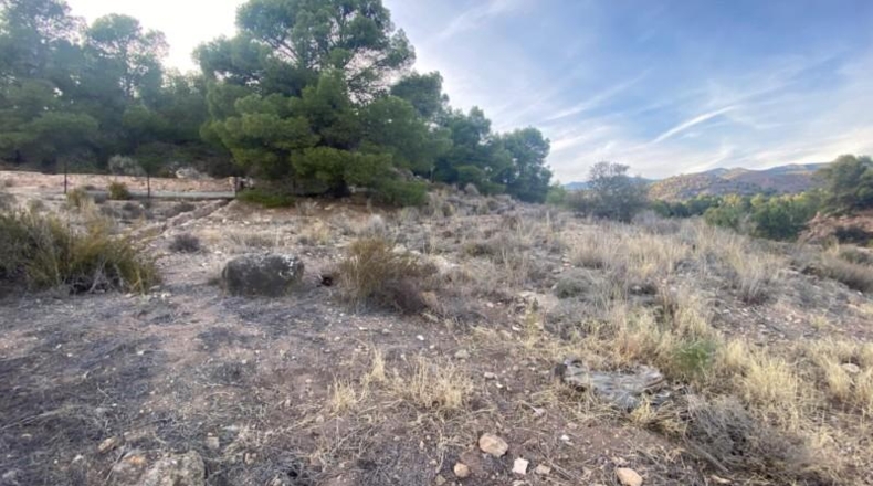 Murcia - Totana - 20796m2