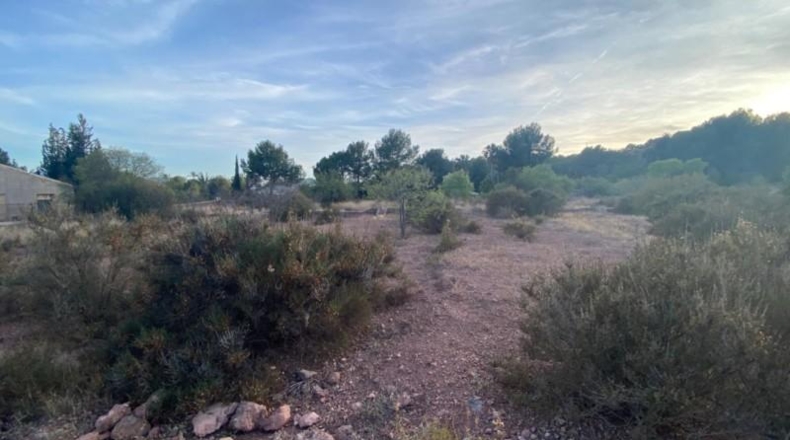 Murcia - Totana - 20796m2