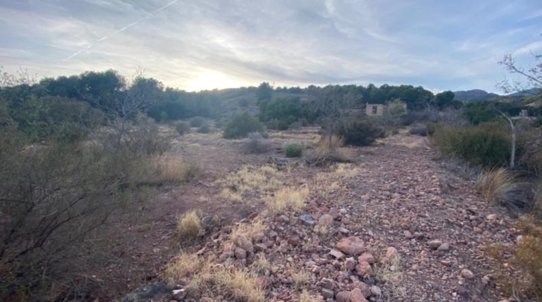 Murcia - Totana - 20796m2