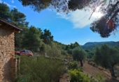 Detached villa with land for sale on España, Fuentespalda, ref: TR330061 photo