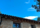 Detached villa with land for sale on España, Fuentespalda, ref: TR330061 photo