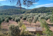 Detached villa with land for sale on España, Fuentespalda, ref: TR330061 photo