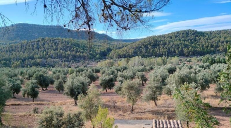 Teruel - Fuentespalda - 37120m2