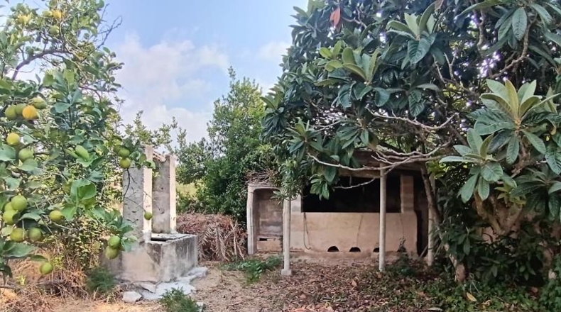 Balearic Islands - Montuïri - 2054m2