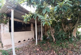 Foto 15
