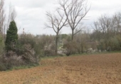 Land suitable for development for sale on España, Burgos, ref: TR121292 photo