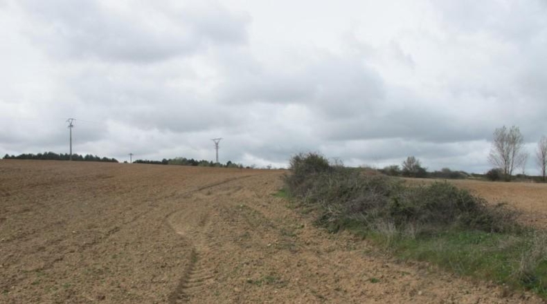 Burgos - Burgos - 6420m2