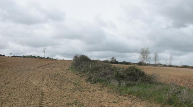 Burgos - Burgos - 6420m2