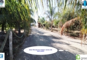 Country house with land for sale on España, San Juan del Puerto, ref: TR140365 photo