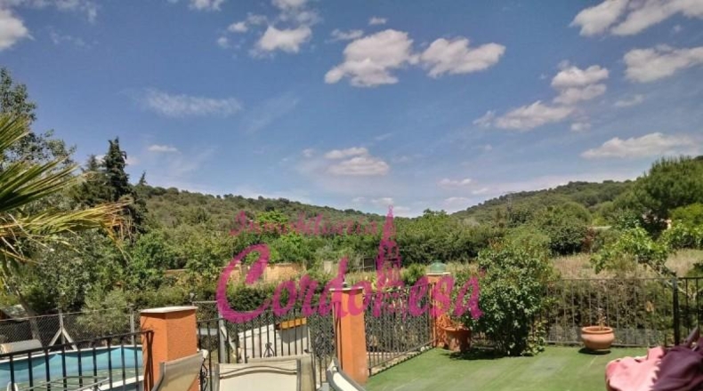 Córdoba - Córdoba - 1250m2