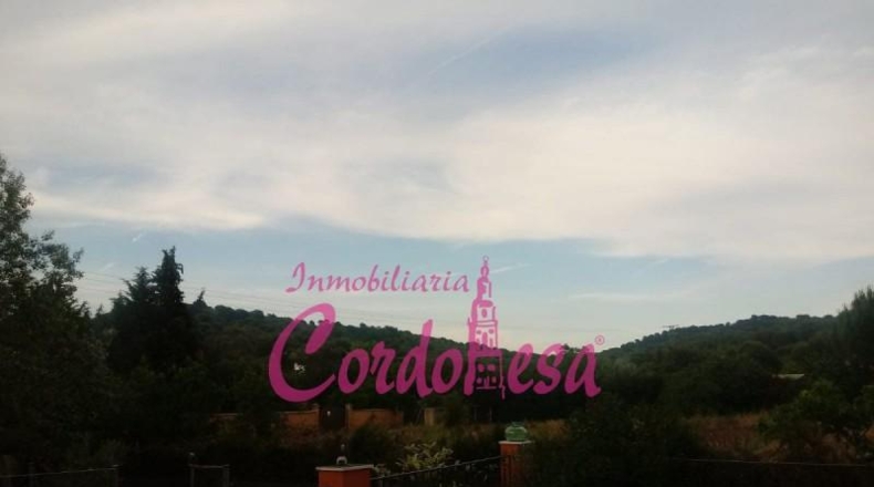 Córdoba - Córdoba - 1250m2