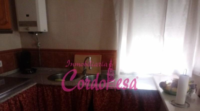 Córdoba - Córdoba - 1250m2