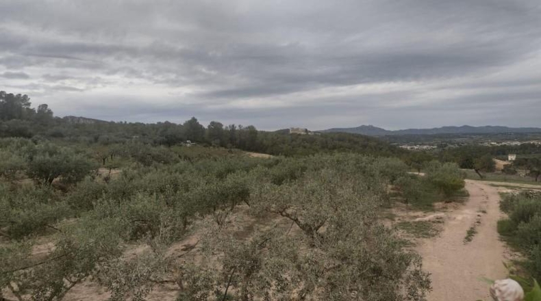 Tarragona - Miravet - 19009m2