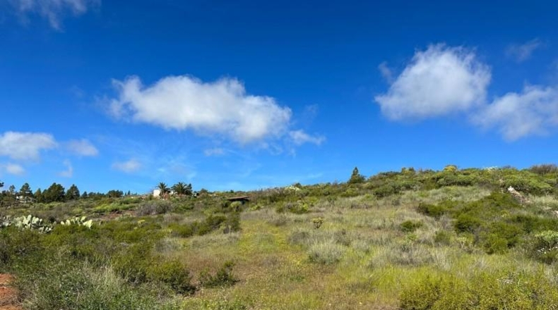 Santa Cruz de Tenerife - Granadilla de Abona - 23920m2