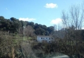 Terreny no urbanitzable en venda a la España, Setenil de las Bodegas, ref.: TR377010 foto
