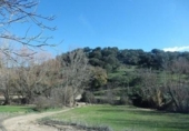 Terreny no urbanitzable en venda a la España, Setenil de las Bodegas, ref.: TR377010 foto