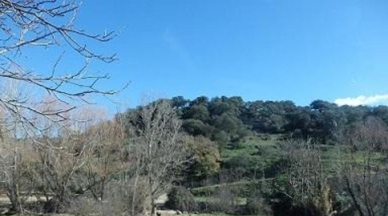Cádiz - Setenil de las Bodegas - 51000m2