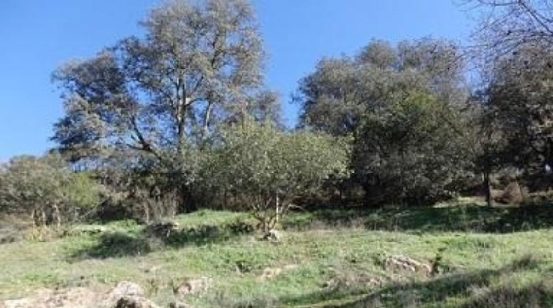 Cádiz - Setenil de las Bodegas - 51000m2