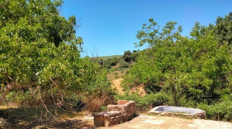 Cádiz - Setenil de las Bodegas - 51000m2