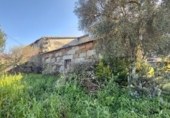 Casa de camp amb terreny en venda a la España, Cenlle, ref.: TR240449 foto