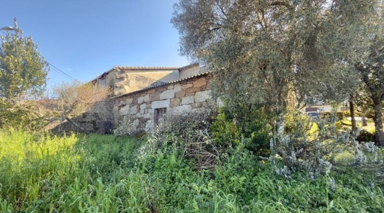 Orense - Cenlle - 1100m2