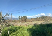 Casa de camp amb terreny en venda a la España, Cenlle, ref.: TR240449 foto