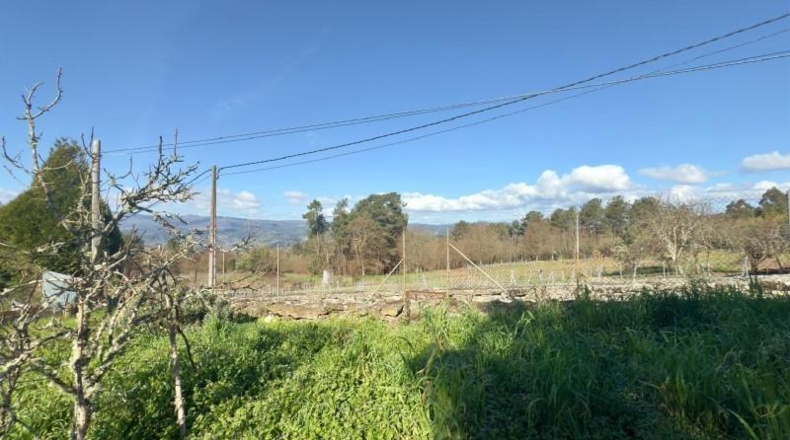 Orense - Cenlle - 1100m2