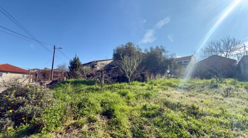 Orense - Cenlle - 1100m2