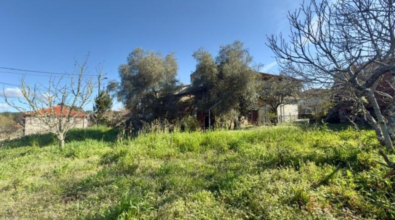 Orense - Cenlle - 1100m2