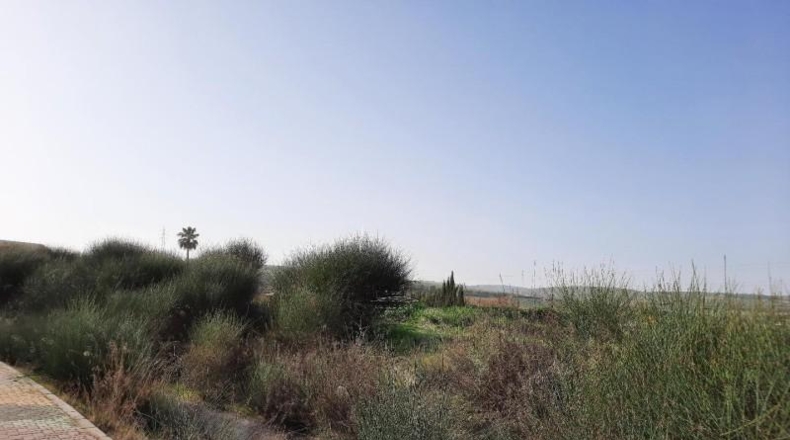 Córdoba - Lucena - 5800m2
