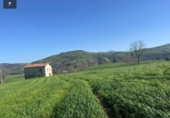Finca rústica en venda a la España, Villacarriedo, ref.: TR224825 foto