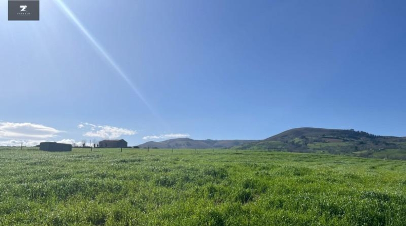 Cantabria - Villacarriedo - 22106m2