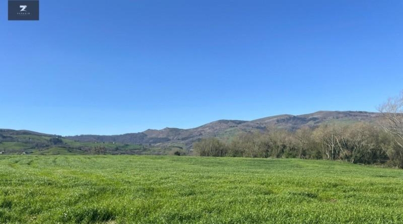 Cantabria - Villacarriedo - 22106m2